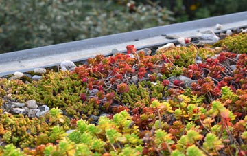the cost of Teanford green roof installation