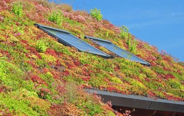 Teanford living roof systems