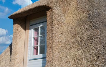 Teanford thatch roof disadvantages