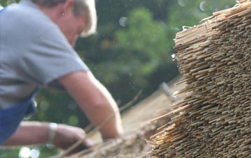 professional Teanford thatchers